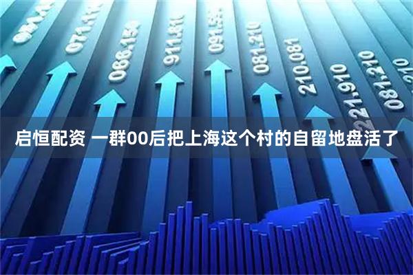 启恒配资 一群00后把上海这个村的自留地盘活了
